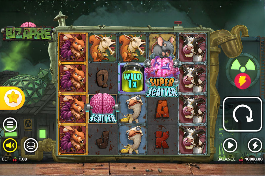 the bizarre slot demo play on stake